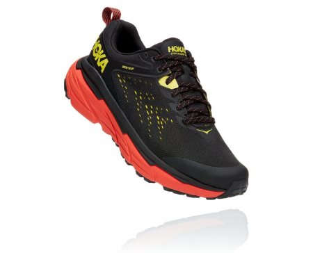 Hoka One One Challenger Atr 6 Gore-tex Moški Trail Tekaški Čevlji Črna / Zelena SI-612987P